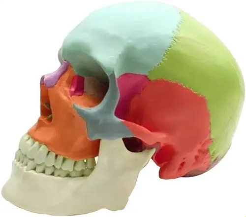 Fiamento Pa Max Bone White Pa De 1,75 Mm Y 1 Kg Para Impreso