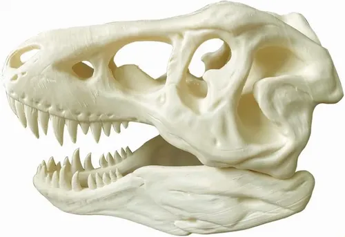 Fiamento Pa Max Bone White Pa De 1,75 Mm Y 1 Kg Para Impreso
