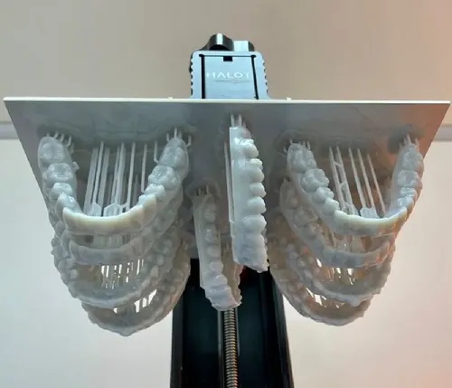 Resina 3d Prolizard Orthodontics Model Gris 1kg Ortodoncia